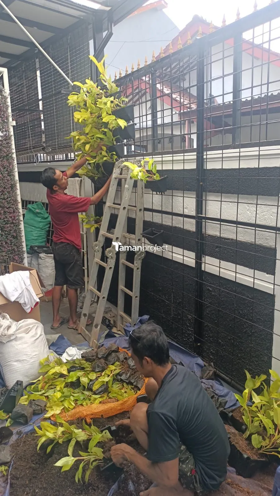 taman vertikal kolam relief taman minimalis